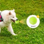 Orifesio 12er-Set Mini-Tennisbälle 5 cm – Hundespielzeug für kleine Hunde & Ballwurfmaschinen – Bild 2