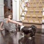 Relaxdays Hundeabsperrgitter 82,5 cm – Scherengitter für Tür & Treppe, ausziehbar bis 116,5 cm – Bild 2