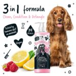 BUGALUGS 3-in-1 Hundeshampoo mit Panthenol & Mandelöl – Reinigung, Pflege & Entwirren – Bild 2