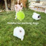 Orifesio 12er-Set Mini-Tennisbälle 5 cm – Hundespielzeug für kleine Hunde & Ballwurfmaschinen – Bild 4