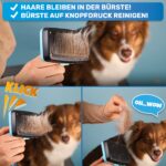 BluePet Zupfbürste für Hunde & Katzen – Selbstreinigende Langhaar-Bürste mit Knopfdruck – Bild 4