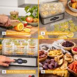 TZS First Austria Dörrautomat – 5 Etagen mit digitalem Timer & Temperaturregler 35–70°C – Bild 5