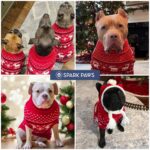 Spark Paws Strickpullover für Hunde – Wärmender Winterpullover in 7 Grössen – Bild 6