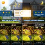 WENATY 4er Set Solarstrahler mit 56 LED – IP65 Gartenleuchten warmweiss für Aussen – Bild 5