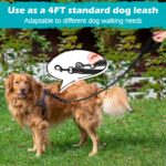 PetBonus No Pull Hundeleine mit Doppelclip – Anti-Zieh Trainingsleine für Hunde – Bild 6