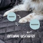 Rudelkönig Hundedecke Auto Rücksitz – Autoschondecke mit Seitenschutz & Sichtfenster – Bild 5