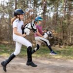 SKIPPI Hobby Horse Braunschecke A3 – Steckenpferd mit Halfter & Zügeln – Bild 6