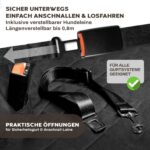 Hainberger Hundedecke Auto 137x147 cm – Wasserabweisend & Kratzfest für sichere Fahrten – Bild 9
