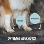 Rudelkönig Kofferraumschutz Hund – Universale Hundedecke mit Ladekantenschutz für Kombi & SUV – Bild 5