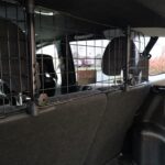 Sakura Hundegitter SS5259 – Kopfstützengitter für Pkw, flexibel verstellbar – Bild 5