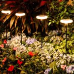 ZWOOS Solar Gartenleuchten 4er Set – IP65 LED Blumenbeleuchtung mit 10-12h Akkulaufzeit