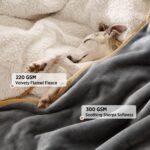 LE SURE Hundedecke 80x100cm Wasserdicht – Sherpa Fleece für Sofa & Auto – Bild 3