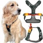 Nomadog Trailblazer Anti-Zug Hundegeschirr Grösse L – Gepolstert & Reflektierend für grosse Hunde