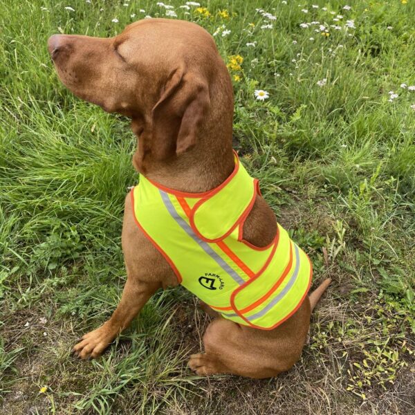 FARM-LAND Hunde Reflektorweste – Signalweste für Jagd & Straßenverkehr