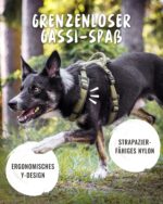 Rudelkönig Hundegeschirr Bella – Neopren-Brustgeschirr mit Haltegriff für mittelgrosse Hunde – Bild 6