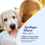 Pawlie's Hundeshampoo Weisses Fell – Aufhellende Fellpflege für Malteser, Pudel & Co. – Bild 4