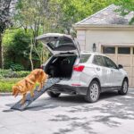 CO-Z Hunderampe 170cm klappbar – Gelenkschonender Fahrzeugeinstieg für Hunde bis 90kg – Bild 10