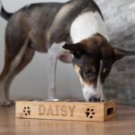 LAUBLUST Personalisierte Futterstation für Hunde – Bambus mit Gravur, Grössen M, L, XL – Bild 7