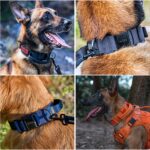 OneTigris Taktisches Hundehalsband M mit Metallschnalle – Robustes Nylonhalsband für Hunde – Bild 7