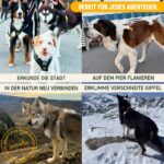 Nomadog Trailblazer Anti-Zug Hundegeschirr Grösse L – Gepolstert & Reflektierend für grosse Hunde – Bild 5
