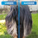 BluePet Fellentwirrer mit Doppelreihen-Pins – Profi-Striegel für Langhaar Hunde & Katzen – Bild 3