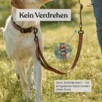 FREUDENTIER Freihandleine 3m – Verstellbare Umhängeleine für Hunde bis 45kg – Bild 5