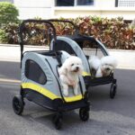 BingoPaw Hundewagen bis 20kg – Faltbarer Hundetrolley mit Bremse & Netzfenstern – Bild 9