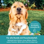 PetsHero Hundeshampoo 250 ml gegen Flöhe, Zecken & Milben – Parasitenschutz für Welpen – Bild 2