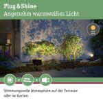 Paulmann Plug & Shine LED Gartenstrahler 6,8W IP65 – Warmweiss Fluter Schwarz – Bild 3