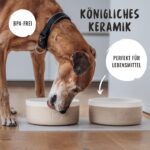 Rudelkönig Hundenapf Keramik 900 ml 2er Set – Rutschfester Futternapf für alle Hunde – Bild 3