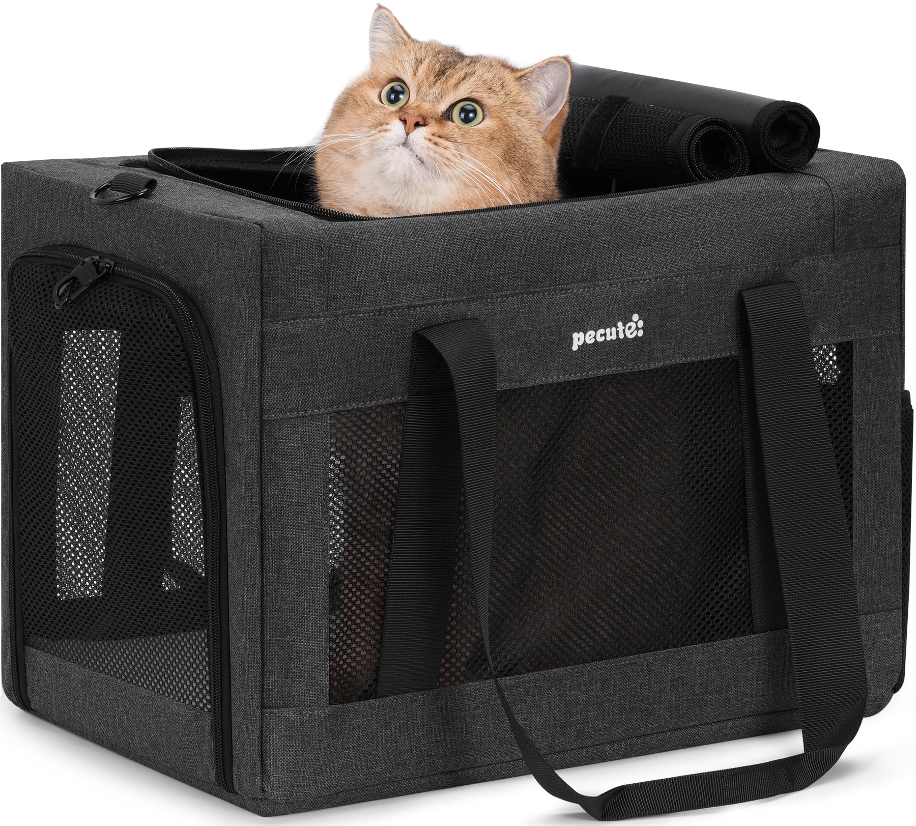 pecute Haustier-Transporttasche Gross 42.5cm – Stabile Katzen- & Hundetasche bis 5kg