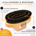 BUDDY BRUNO® Hundebürste Kurzhaar mit Naturborsten – Premium Fellpflege für Hunde & Katzen – Bild 2