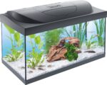 Tetra Starter Line 54 L Aquarium Komplett-Set – LED-Beleuchtung & Filter für Einsteiger