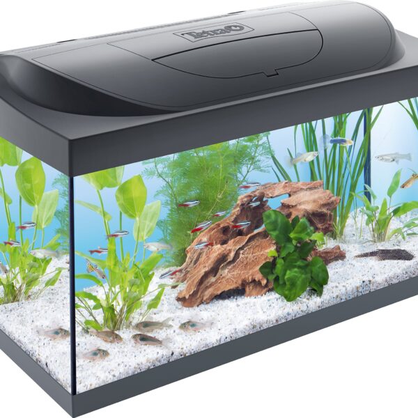 Tetra Starter Line 54 L Aquarium Komplett-Set – LED-Beleuchtung & Filter für Einsteiger
