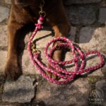 Tailoir Hundeleine 2m geflochten – Paracord Führleine für Mittel- & Grosse Hunde – Bild 8