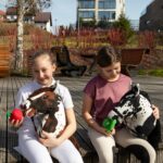 SKIPPI Hobby Horse Braunschecke A3 – Steckenpferd mit Halfter & Zügeln – Bild 8