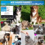 BluePet Unterwollbürste für Hunde & Katzen – Langhaar Fellpflege & Entfilzung – Bild 5