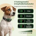 Cooiiye Antibellhalsband für Hunde – Haustierfreundliches Trainingshalsband mit sanfter Korrektur – Bild 5
