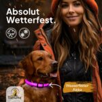 Tierhood LED Leuchthalsband Hund Größe S – Aufladbar, 3 Modi, Wasserdicht – Bild 7