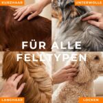BUDDY BRUNO Hundeshampoo Sensitiv 250ml mit Sanddorn – Glänzendes Fell & beruhigte Haut – Bild 8
