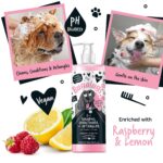 BUGALUGS 3-in-1 Hundeshampoo mit Panthenol & Mandelöl – Reinigung, Pflege & Entwirren – Bild 7