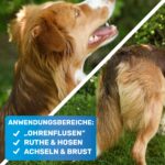 BluePet Entfilzungsspray & Entfilzungskamm – Professionelle Fellpflege für Hunde & Katzen – Bild 5