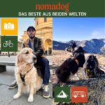 Nomadog Trailblazer Anti-Zug Hundegeschirr Grösse L – Gepolstert & Reflektierend für grosse Hunde – Bild 8