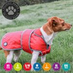 Ancol Stormguard Hundemantel Grösse L – Wasserdichter Allwetter-Schutz für mittlere Hunderassen – Bild 2