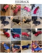 Geyecete Wintermantel für Dackel – Wasserdichter Hundemantel mit Fleecefutter Grösse M – Bild 2