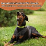 Wildfang® Kauwurzel Grösse M aus Baumheide – Natürliches Kauspielzeug für Hunde 15–25 kg – Bild 8
