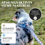 FREUDENTIER Hundegeschirr atmungsaktiv gepolstert – Anti-Zug Brustgeschirr mit Griff für alle Grössen – Bild 4