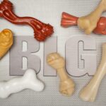 Nylabone Power Chew XXL Kauknochen Bison – Zahnpflege-Kauspielzeug für grosse Hunde ab 23 kg – Bild 5