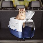 Amazon Basics Hundehütte zweitürig 58L x 38W x 33H cm – Transportbox mit Belüftung – Bild 14