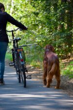 dobar Walky Dog Plus Fahrradleine – Edelstahl Hundeleine mit Quicklock für sicheres Radfahren – Bild 4